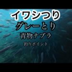 三重県釣りスポット