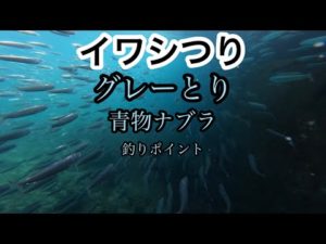 三重県釣りスポット