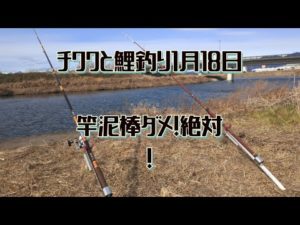 チワワと鯉釣り1月18日(竿泥棒ダメ!絶対！)