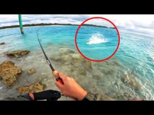 水面爆発だぁぁぁぁぁぁ!!‼︎