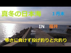 寒さに負けず投げ釣りと穴釣り　真冬の越前
