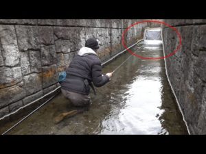 南アルプスの水路に『生きたイモムシ』を入れると・・・