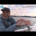 【釣り百景】#470 岡山県沖で鯛ラバゲーム！紹介頻度の少ない県でマダイと旅情を味わう