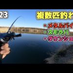 2023霞ヶ浦初バス 複数匹釣れた【メタルバイブ・スモラバ・ダウンショット】