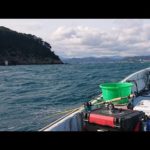 【志摩　英虞湾】こだま渡船　五目かかり釣り‼️