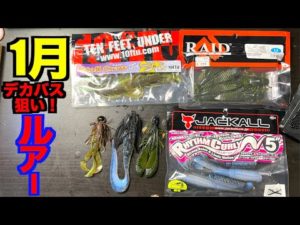 【バス釣り】1月にデカバス狙いだけのルアー達買ってみた！