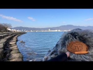 琵琶湖バス釣りライブR5-1/20