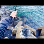 真冬のこの釣りが最高におもしろい