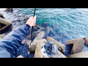 真冬のこの釣りが最高におもしろい