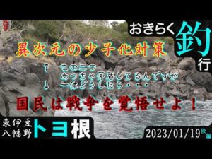 【#八幡野・#トヨ根】#おきらく釣行【2023/01/19後】