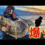 【爆釣】ヒラメにマゴチにシーバスまで！！！すごい１日だった【田原サーフ後編】