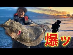 【爆釣】ヒラメにマゴチにシーバスまで！！！すごい１日だった【田原サーフ後編】