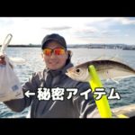 コマセを超節約するアイテムで爆釣サビキ釣り！小名浜港が真冬でも釣れまくる異常事態