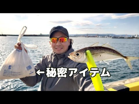 コマセを超節約するアイテムで爆釣サビキ釣り！小名浜港が真冬でも釣れまくる異常事態