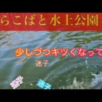 ちょこっと日向ぼっこ♪ついでに釣りも  #しらこばと水上公園 #プールフィッシング #管理釣り場