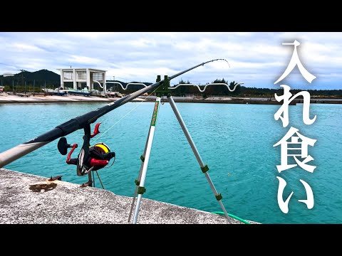 近場の漁港で釣りしてみたら…