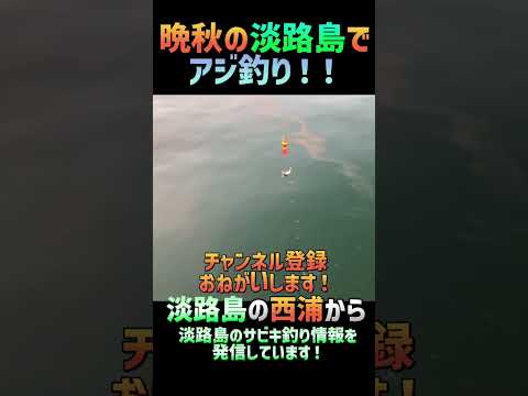晩秋の淡路島でアジ釣り！！【淡路島釣り】