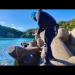 友人と穴釣りしていると凄まじい引きが・・・