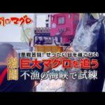 大間まぐろ~激闘 不漁の海で巨大マグロを追う~［特番］ぶっつけ 二刀流 トローリングダブル漁法 巨大鮪 マグロハンター 漁師 南兄弟 釣り｜2023 RYUJIN｜龍神りゅうじん おおま せいほうまる