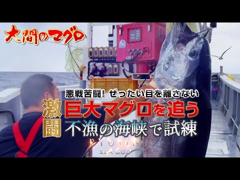 大間まぐろ~激闘 不漁の海で巨大マグロを追う~［特番］ぶっつけ 二刀流 トローリングダブル漁法 巨大鮪 マグロハンター 漁師 南兄弟 釣り｜2023 RYUJIN｜龍神りゅうじん おおま せいほうまる