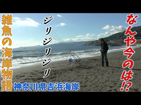 【チャコの海岸物語？雑魚（笑）神奈川県.静岡県境で投げ釣り！】第13回ふぐ名人のダーツの釣り！【最終回】