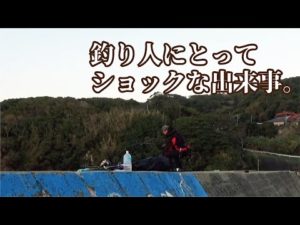 次から次に巨大な生物がヒット自然界の恐ろしさを目の当たりするショックな出来事・・・