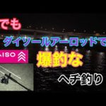 冬でもダイソールアーロッドで爆釣なヘチ釣り 名古屋港