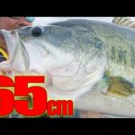 【DVD無料公開】これが琵琶湖の最新テクニック：ダウズフィルム１【秦拓馬】