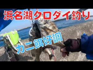 新春はクロダイ釣りから