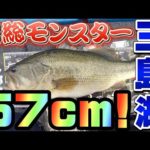【三島湖】これが!房総のモンスター級バス! バス釣り バスフィッシング【三島ダム】