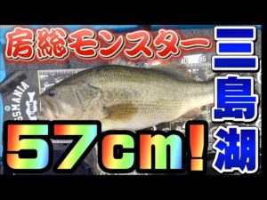 【三島湖】これが!房総のモンスター級バス! バス釣り バスフィッシング【三島ダム】