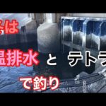 冬は温排水とテトラでの釣り 三河湾