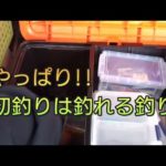 新年の初釣りは釣れる釣り【爆釣編】