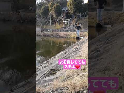 よそ見してても入るよ❤️ #釣り  #スキッピング #バス釣り