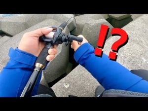 50円の仕掛けで穴釣りしたら大きな根魚が入れ食い…！