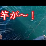 爆風の日に紀州釣りしたら竿を海に落としました【チヌ黒鯛釣り】