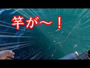 爆風の日に紀州釣りしたら竿を海に落としました【チヌ黒鯛釣り】