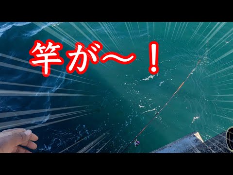 爆風の日に紀州釣りしたら竿を海に落としました【チヌ黒鯛釣り】