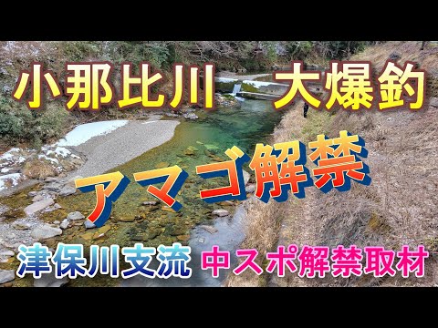 【小那比川　渓流解禁】釣り人少なく成魚アマゴ大爆釣！
