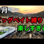 ２月のビッグベイト縛りが楽しすぎる。【バス釣り】