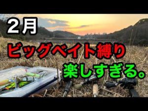 ２月のビッグベイト縛りが楽しすぎる。【バス釣り】