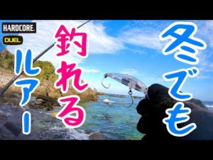 冬でも釣れるルアーだよ × 沖縄釣り × 北部 ＃283