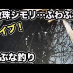【ライブ】二段数珠シモリ仕掛けで寒の小ブナ釣り