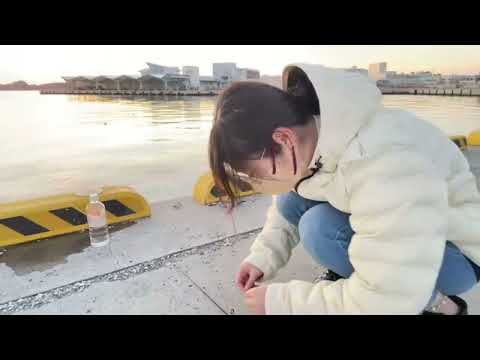 【かなた コメ無】【釣り】狙うはアイナメ一本釣り♡。・゜。2023年2月5日