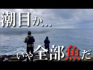 【ロックショア】青物を狙っていると沖から迫る黒い影！？正体は大量の〇〇！！【ブリ・ヒラマサ・ヒラスズキ】