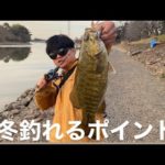 【埼玉バス釣りポイント】真冬の激アツポイント！元荒川堰上【バス釣りオススメポイント】