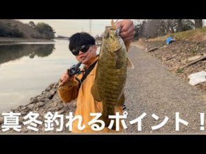 【埼玉バス釣りポイント】真冬の激アツポイント！元荒川堰上【バス釣りオススメポイント】