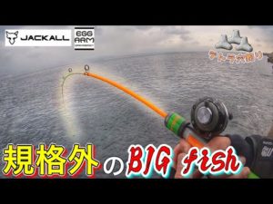 【穴釣り】まさかの大物を穴から引きずり出す!! ジャッカル　エッグアーム　ダイワ　コロネット