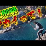 裏磯のモンスターがエグすぎた