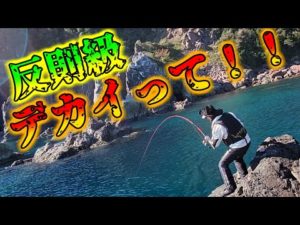 裏磯のモンスターがエグすぎた